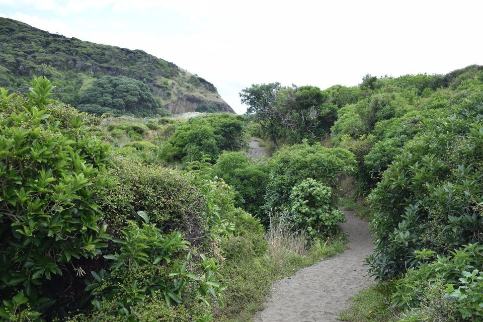 Neuseeland - Karekare - 