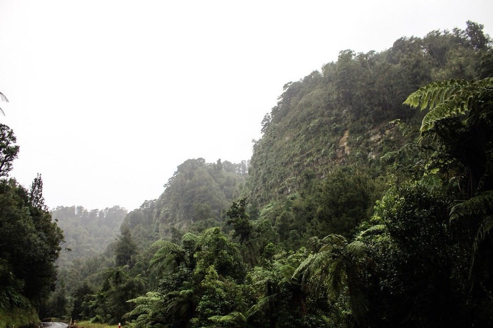 Neuseeland -  - 