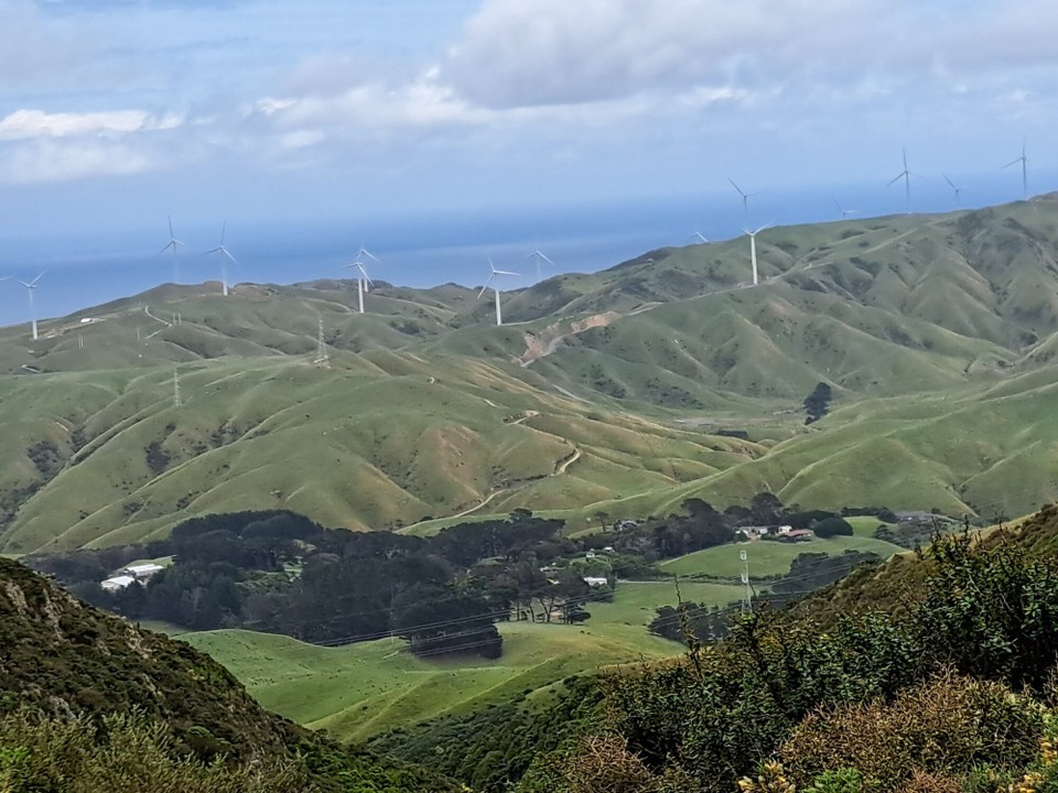 Neuseeland - Wellington - 