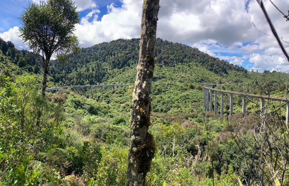 Neuseeland - Raetihi - Alte Brücke links und neue Brücke rechts