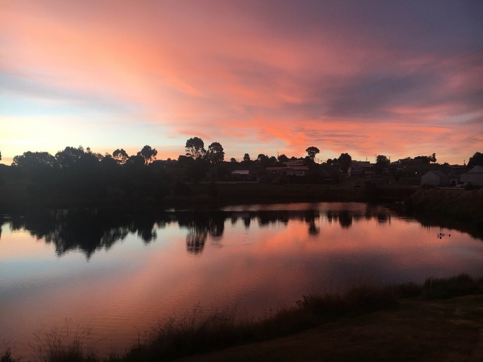 Australien - Waratah - Abendliche Stimmung mit unerwartet vielen Platypus im See 😍