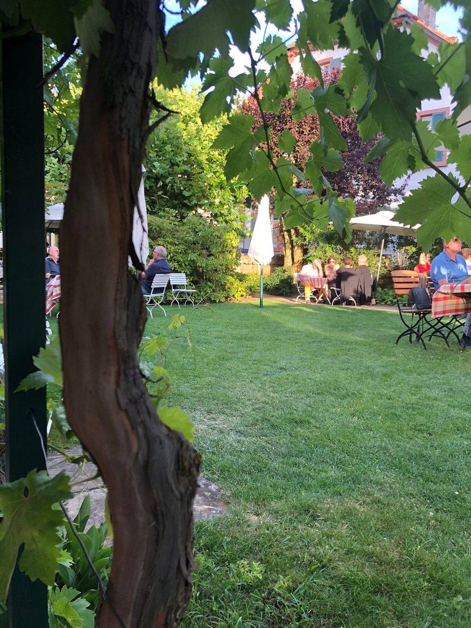 Deutschland - Ludwigshafen am Rhein - Weingut Spindler lecker Essen und trinken mit Abstand