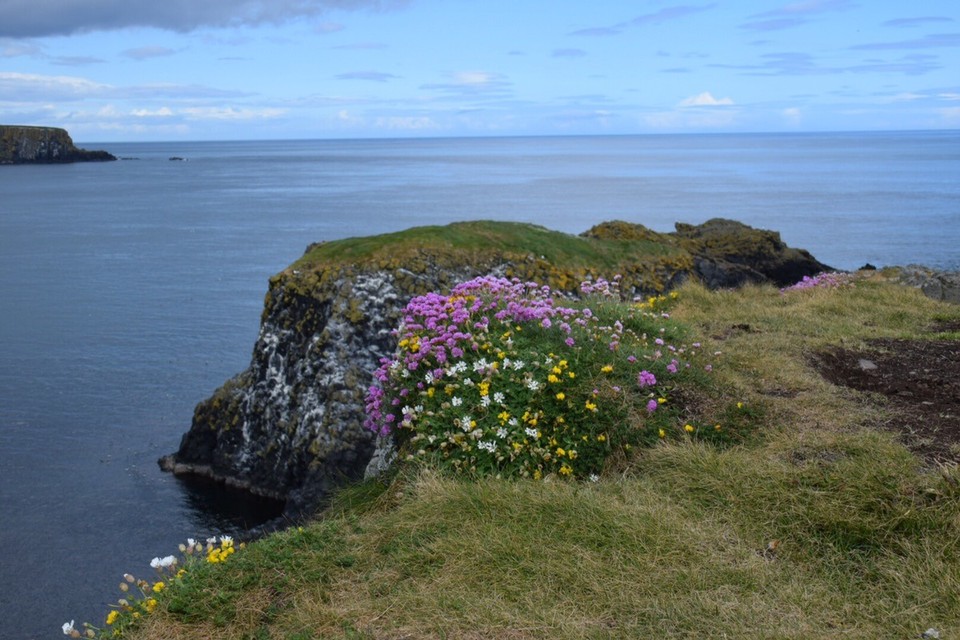 Vereinigtes Königreich - Ballycastle - 