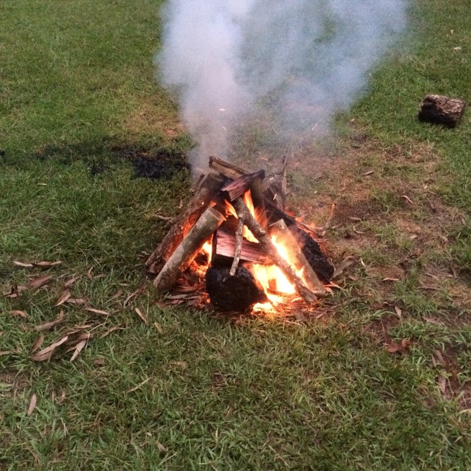 Australien - Coopernook State Forest - Nachher