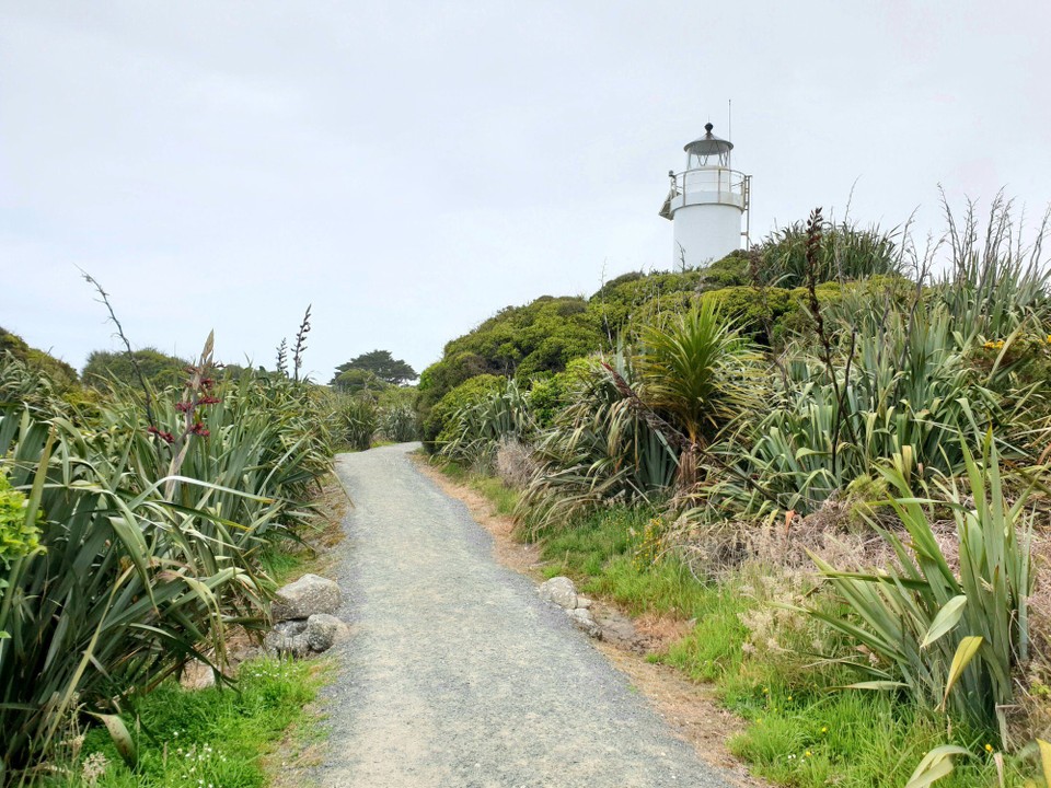 Neuseeland - Pancake Rocks - 