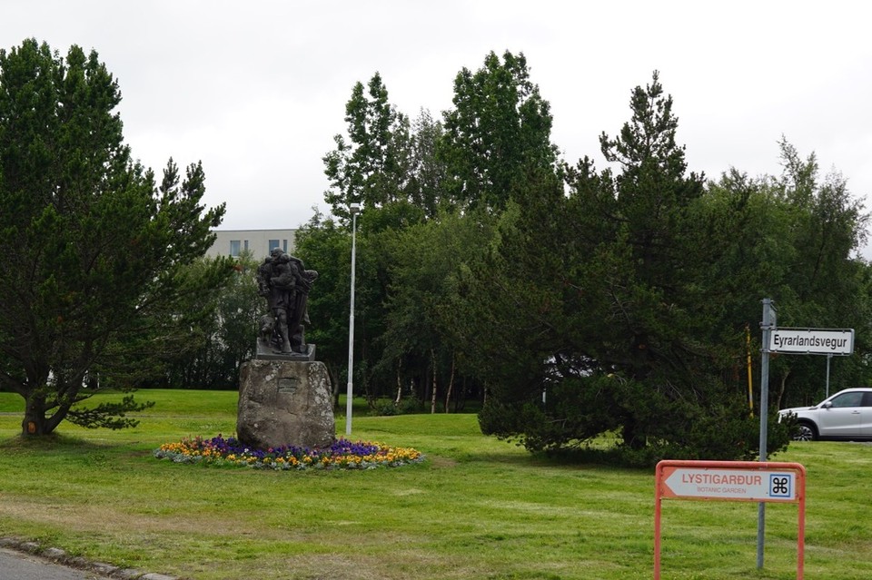 Island - Mývatn - 