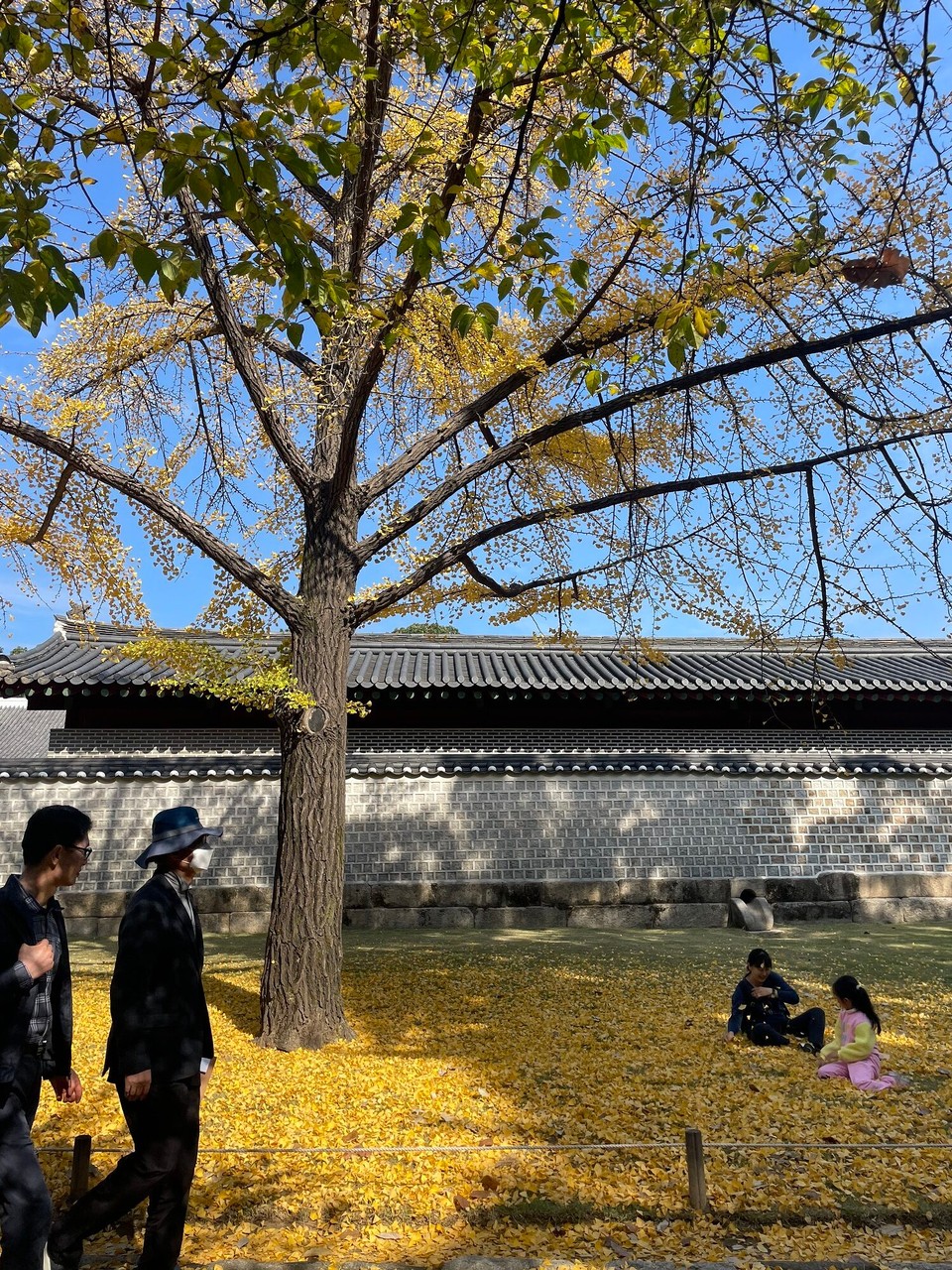 대한민국 - 서울특별시 - 