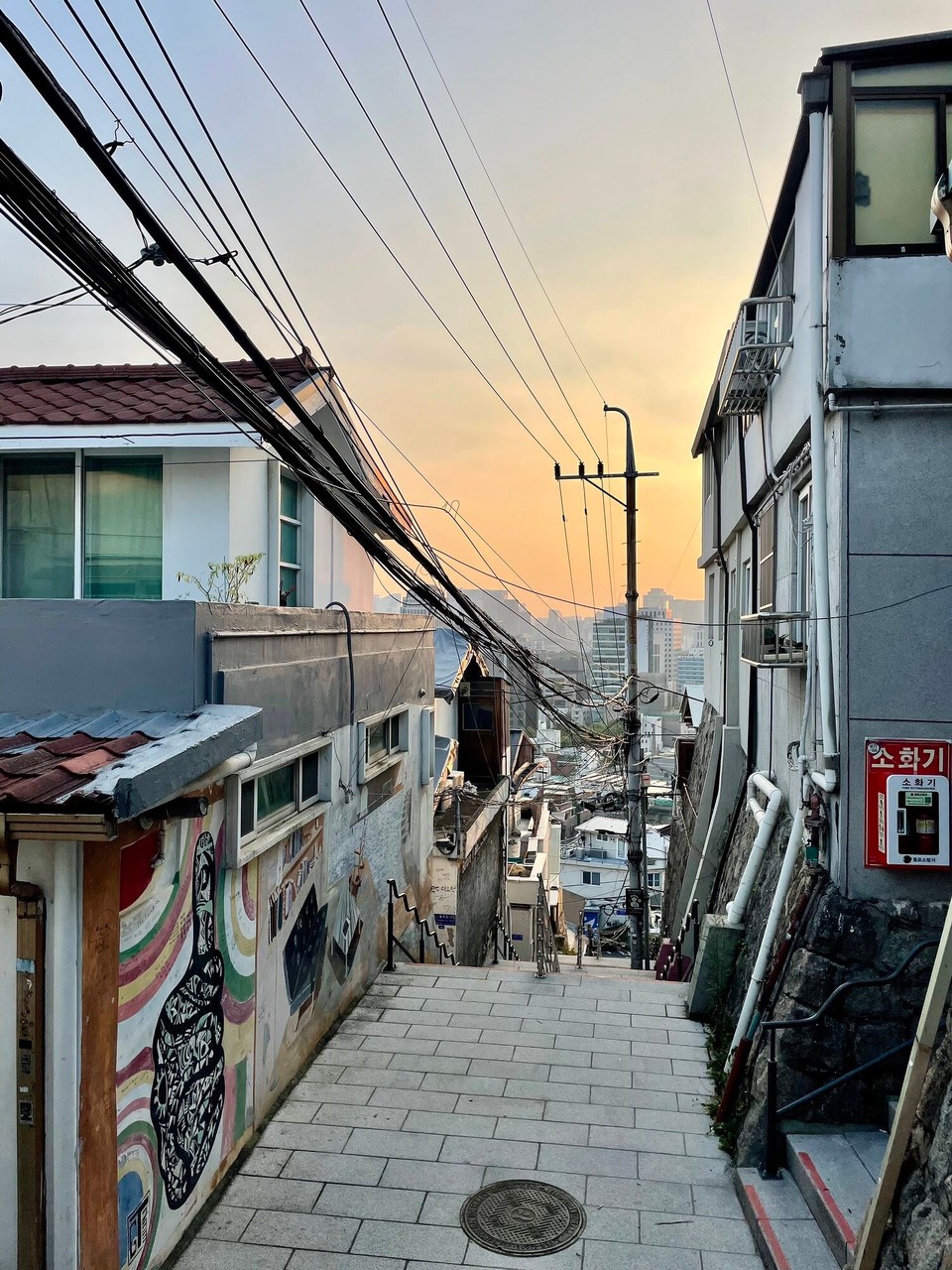 대한민국 - 서울특별시 - 