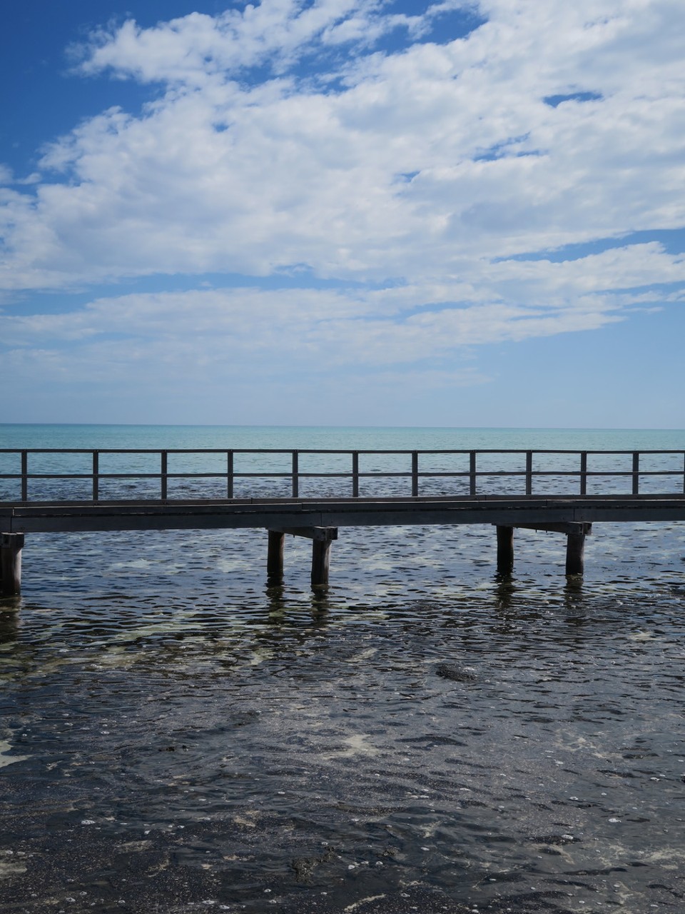 Australia - Shark Bay - Hamelin pool
L'eau y est 2 fois plus salée que dans la mer