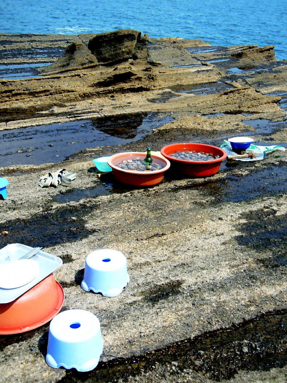 Südkorea - Jeju-si - rohe Muscheln und Soju