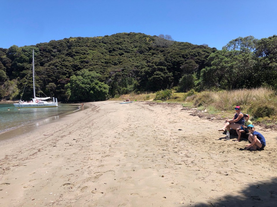 Neuseeland - Paihia - Unser Piknikplatz.