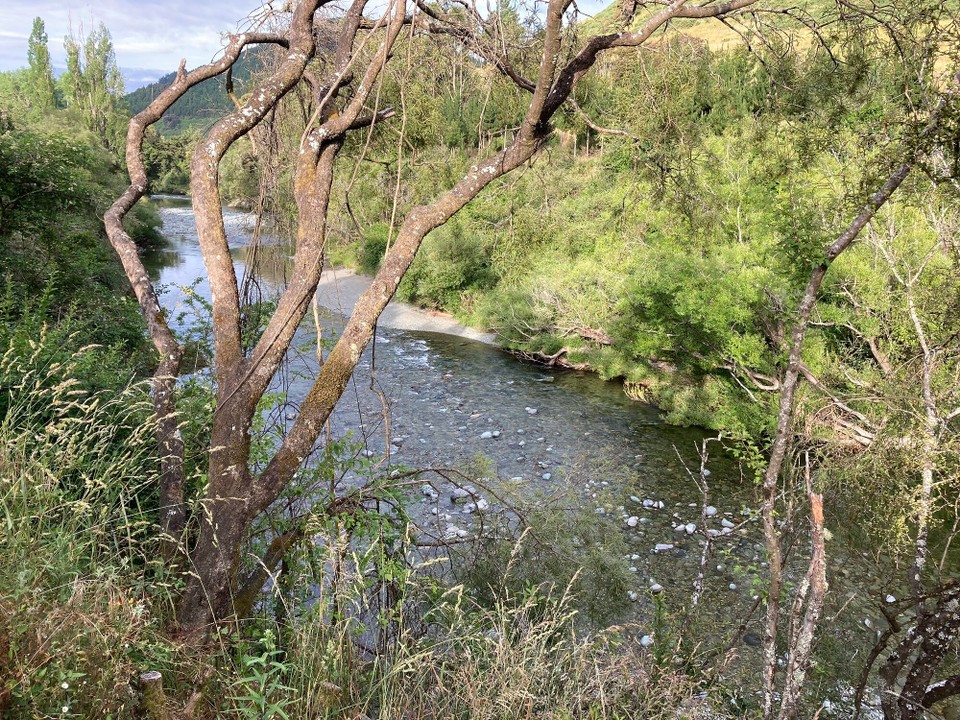 Neuseeland - Brightwater - Fast jeden Abend gibt es ein Bad im Fluss, gar nicht so kalt wie gedacht 😅