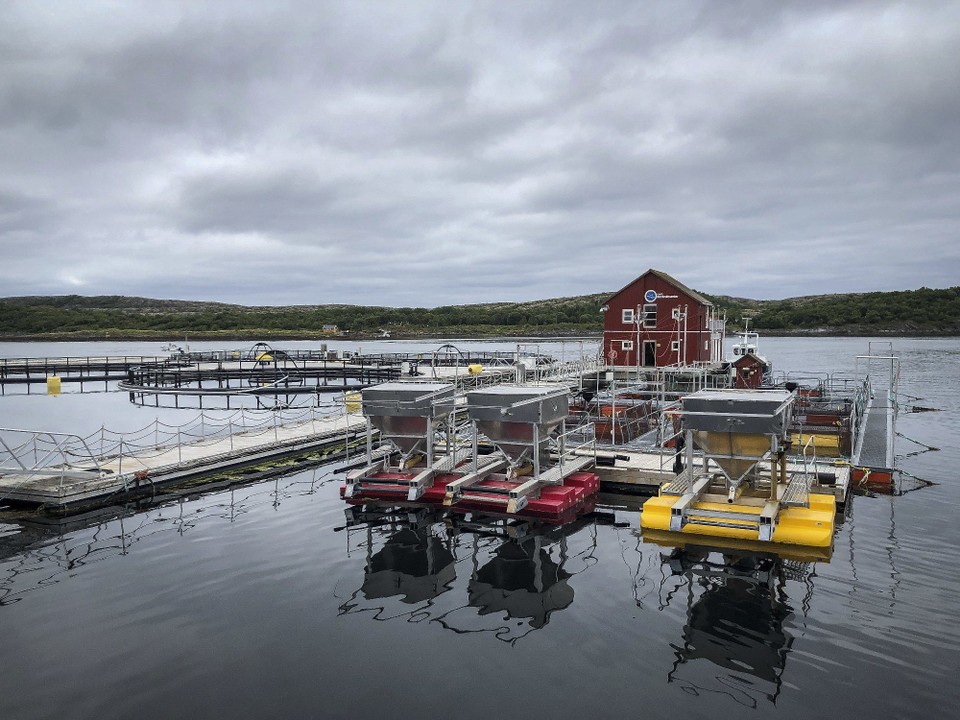 Norwegen - unbekannt - Unser heutiger Stellplatz liegt beim Norsk Havbrukssenter
(Norwegisches Aquakulturzentrum)