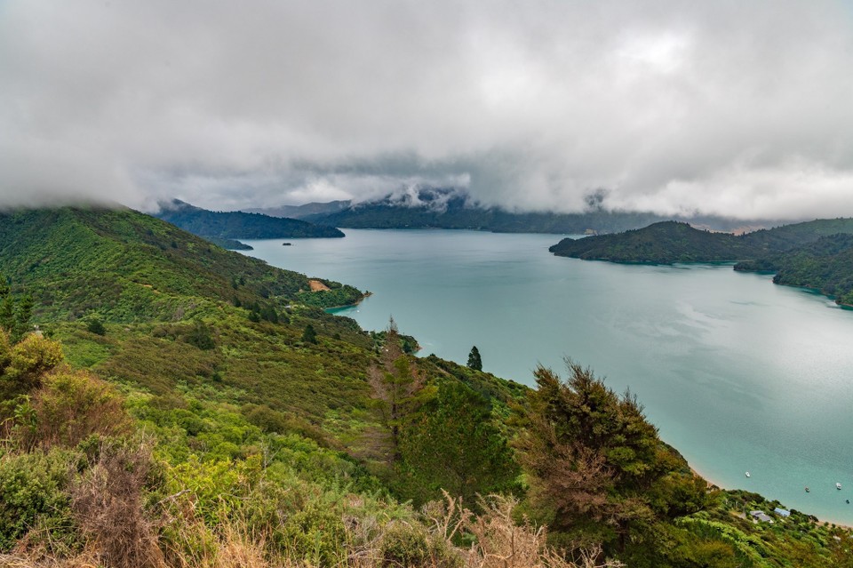Neuseeland - Picton - 