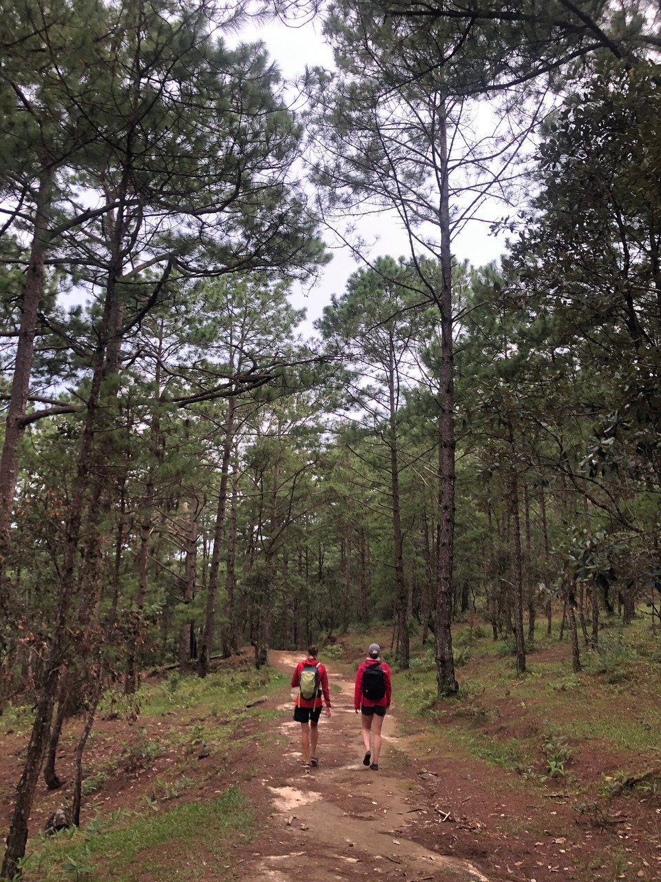 Vietnam - Lac Duong - 