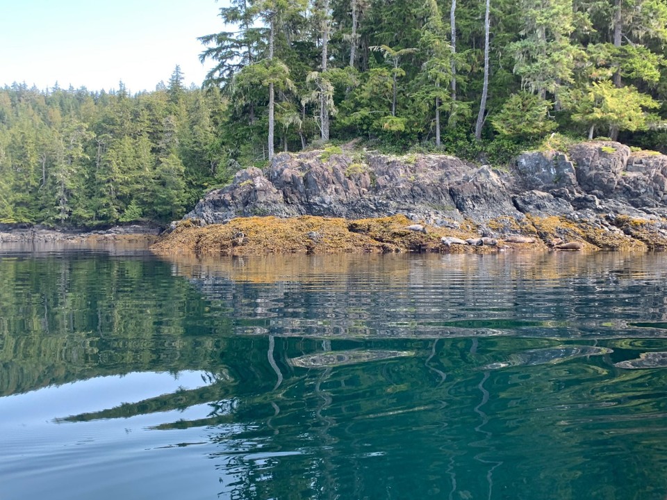 Kanada - Mount Waddington A - 