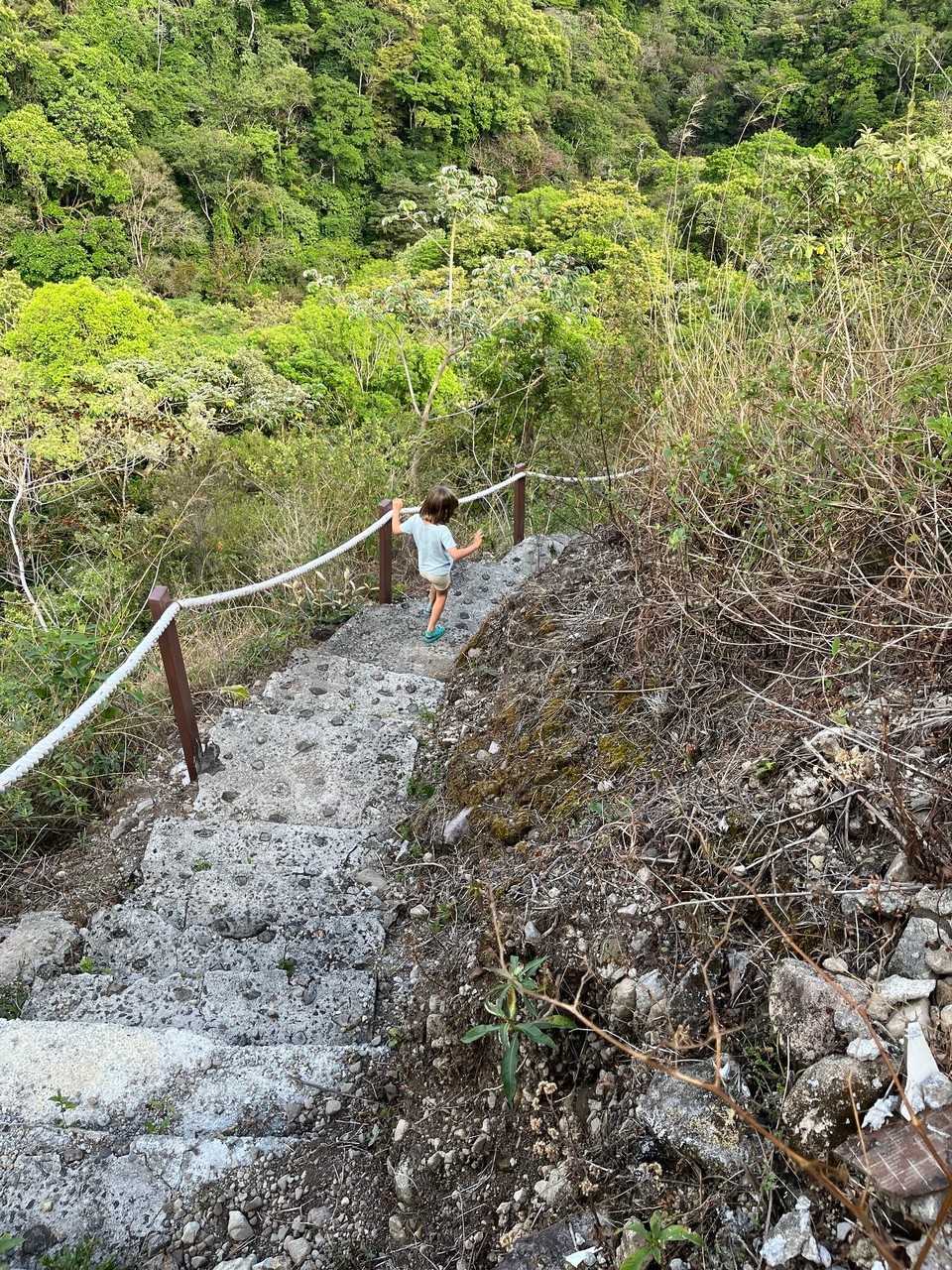 Panama - Boquete - 