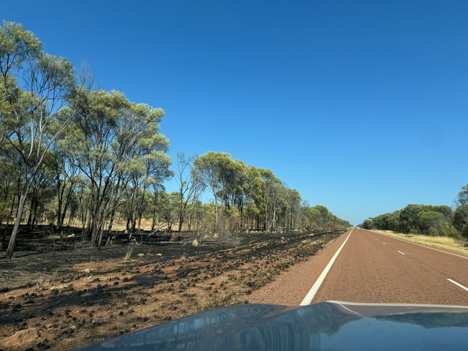 Australien - Georgetown - Links vor Stross alles abbrennt. Rechts nix.