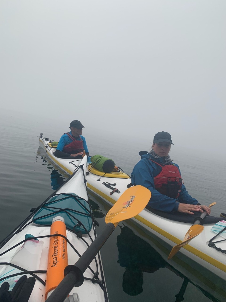 Kanada - Strathcona H (Sayward-Bloedel) - 