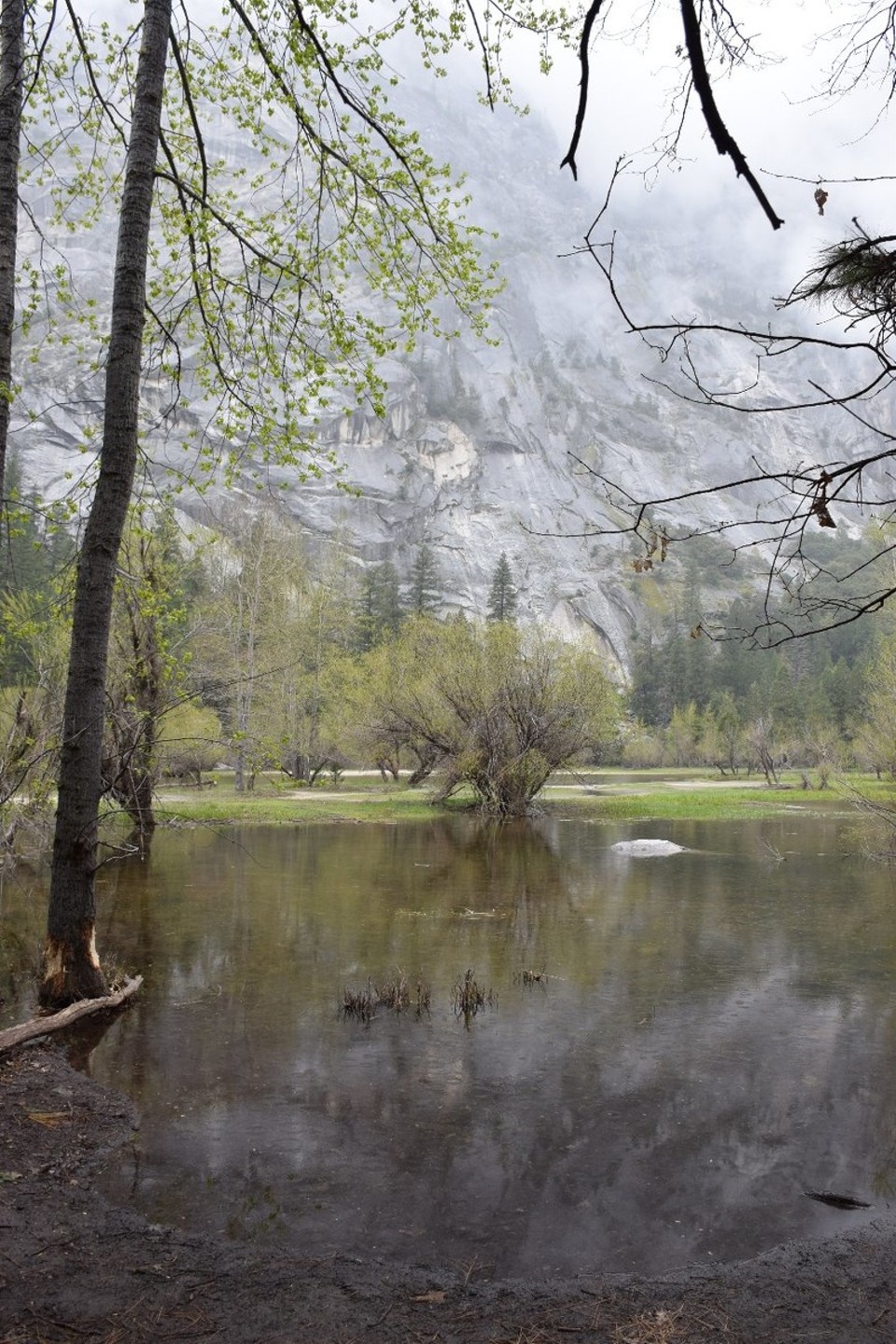 USA - Yosemite-Nationalpark - Erschwerte Bedingungen bei Nieselregen und Wolken: Hier ist Fantasie gefragt, um die Felswand im Wasser zu entdecken