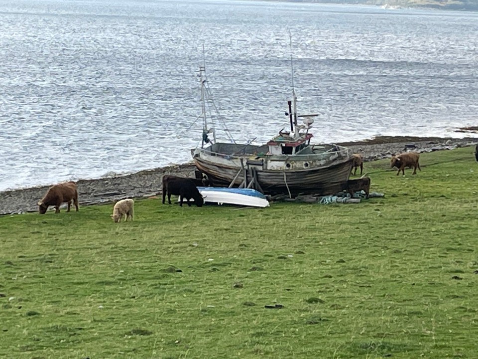 Norwegen - Alta - 