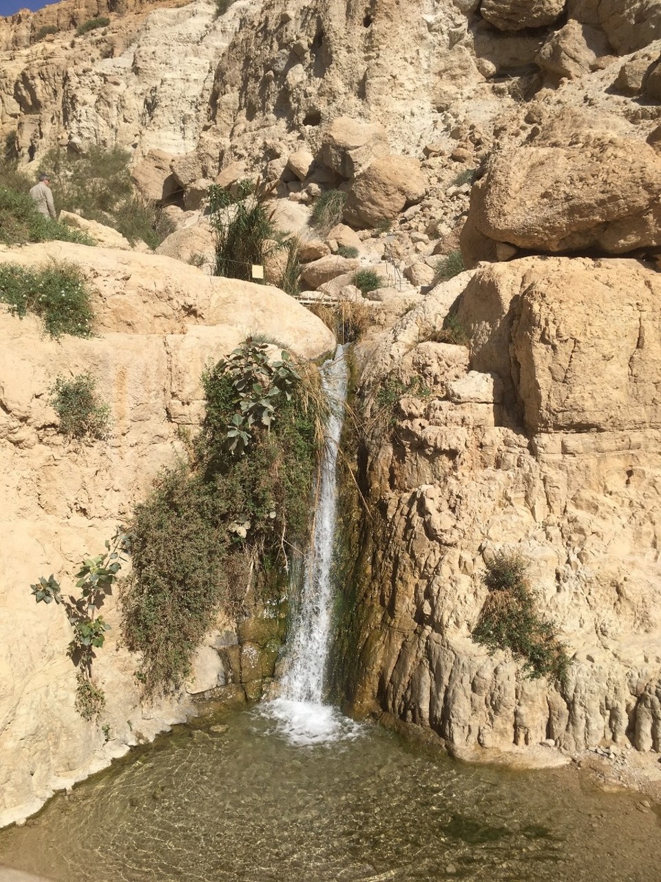 Israel - Ein Gedi - 