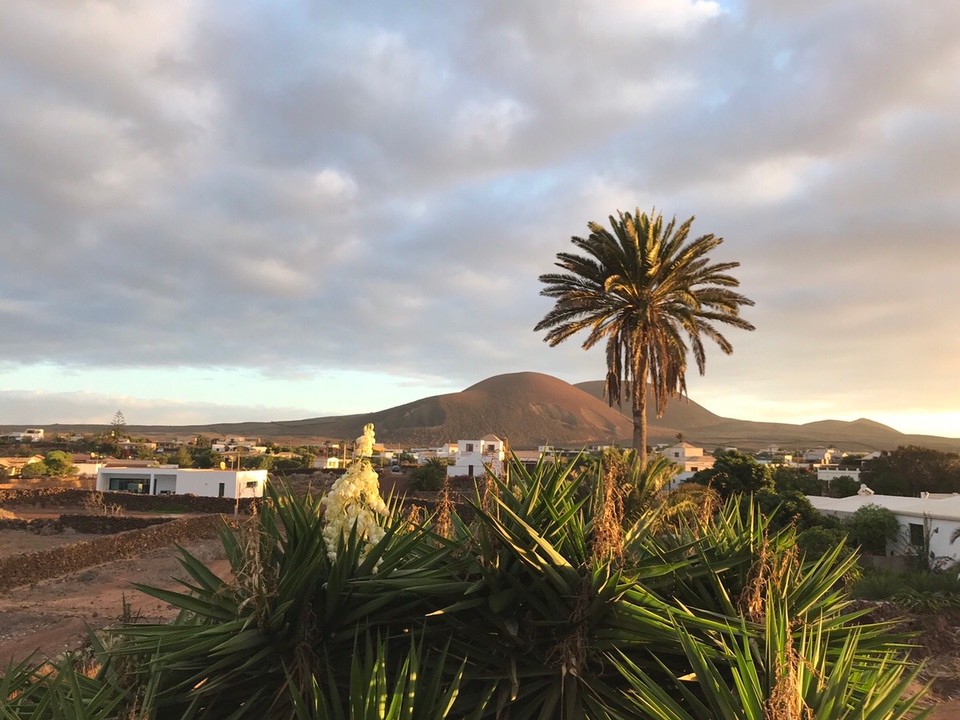 Spanien - La Oliva - 