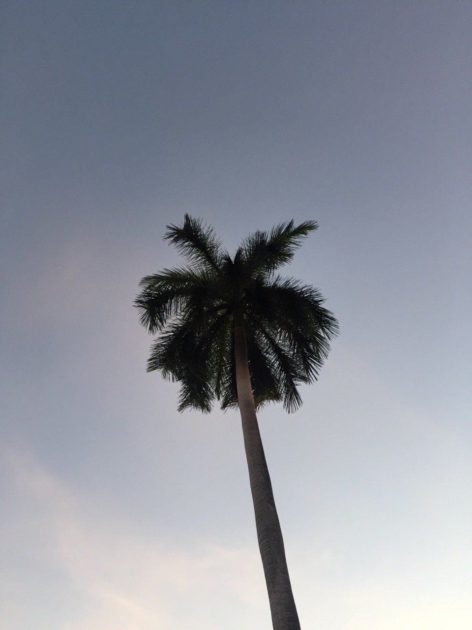 Australia - Darwin - 