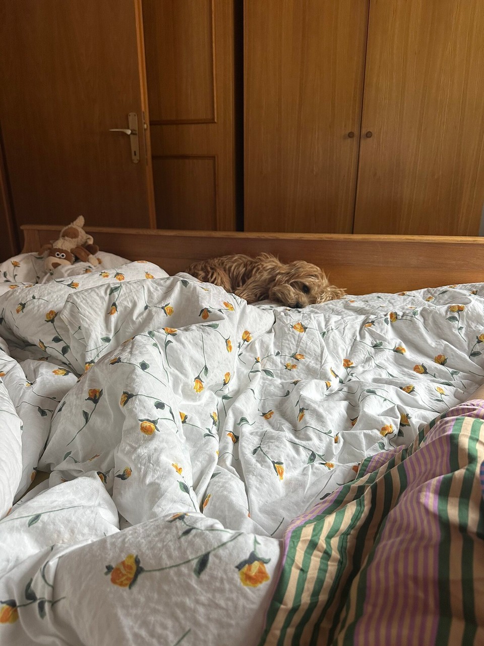 Österreich - Scharnitz - 