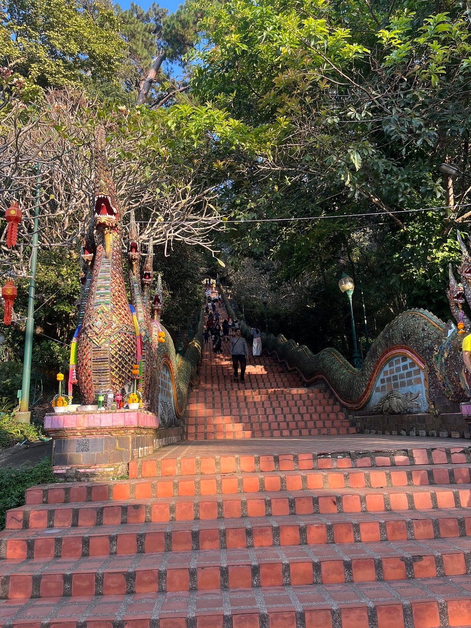 Thailand - Mueang Chiang Mai - I then found a group of people who were going to the Wat Pra That Temple for sunset. We shared a cab there and climbed these mountains of stairs to get to the view point - it was worth it! 