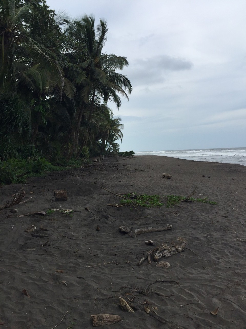 Costa Rica - Pococí - 