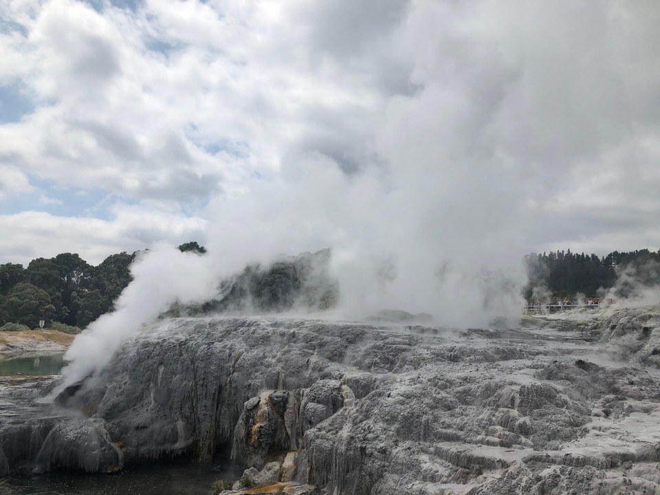 Neuseeland - Whakarewarewa - 