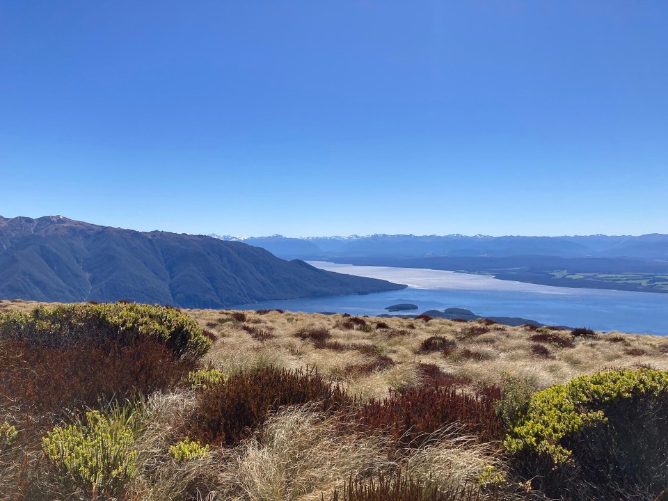 Neuseeland - Fiordland National Park - 