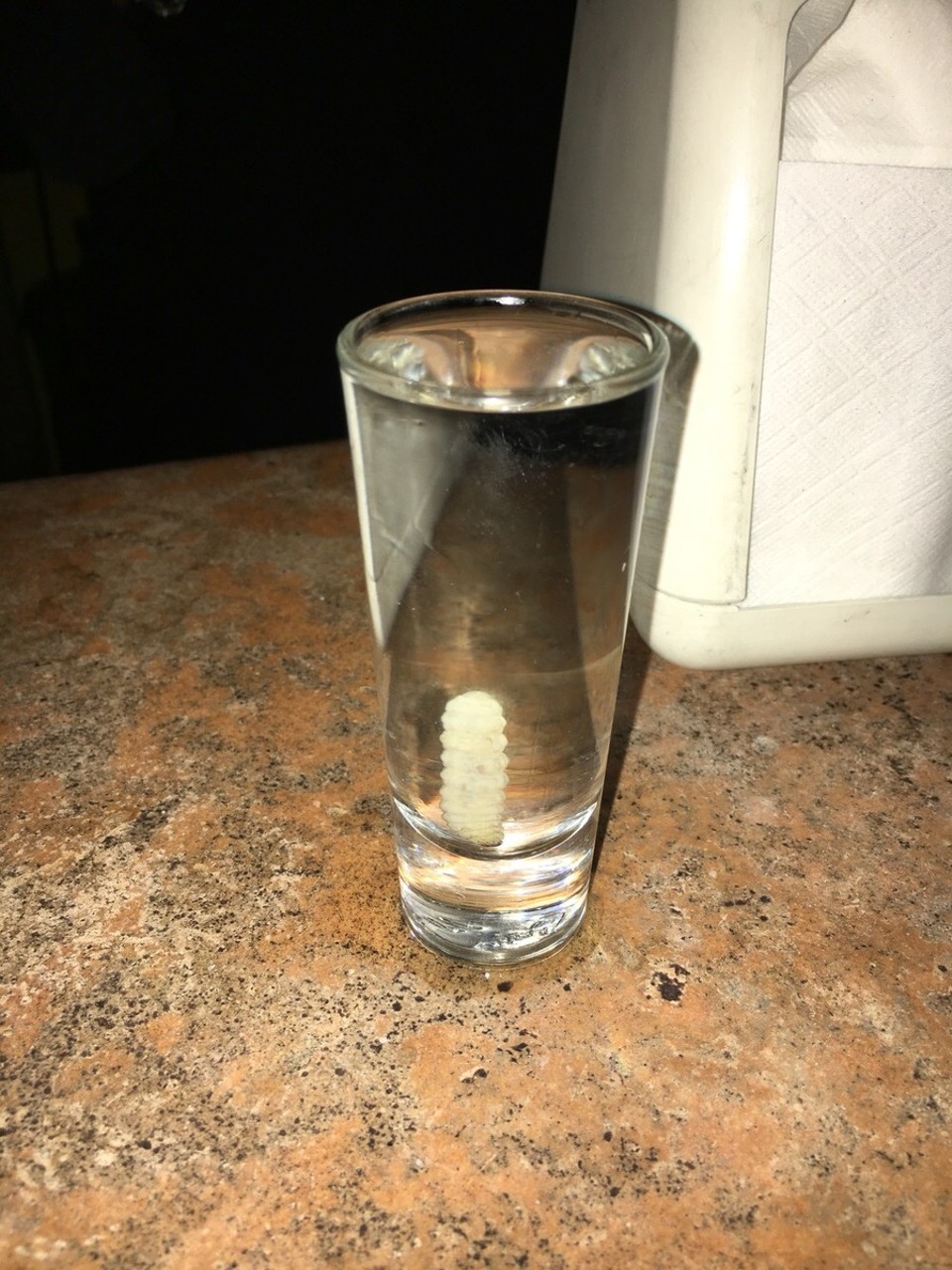 Mexico - Mérida - Mezcal + worm 