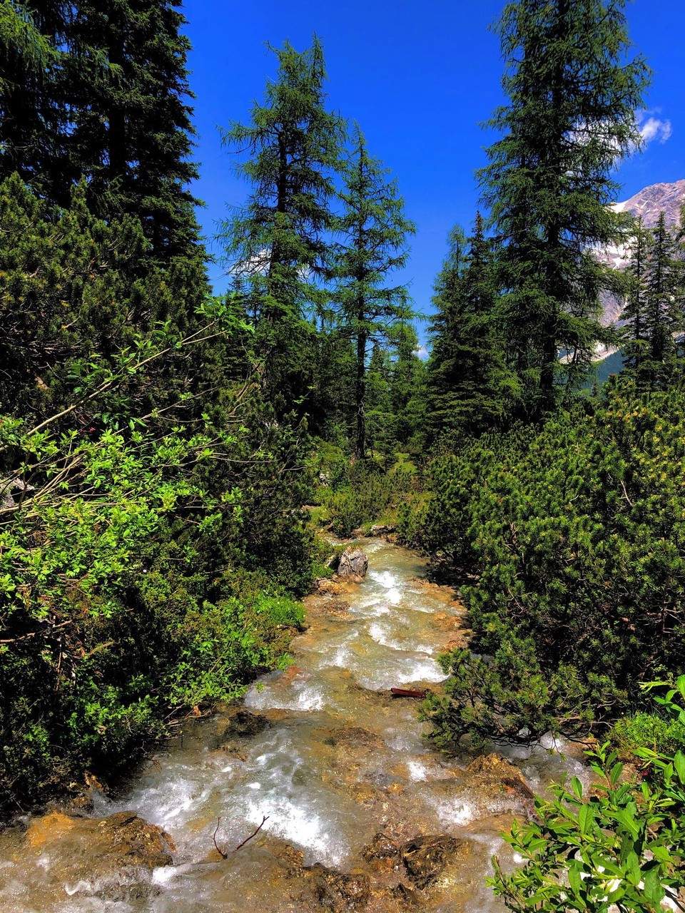 Österreich - Ehrwald - 