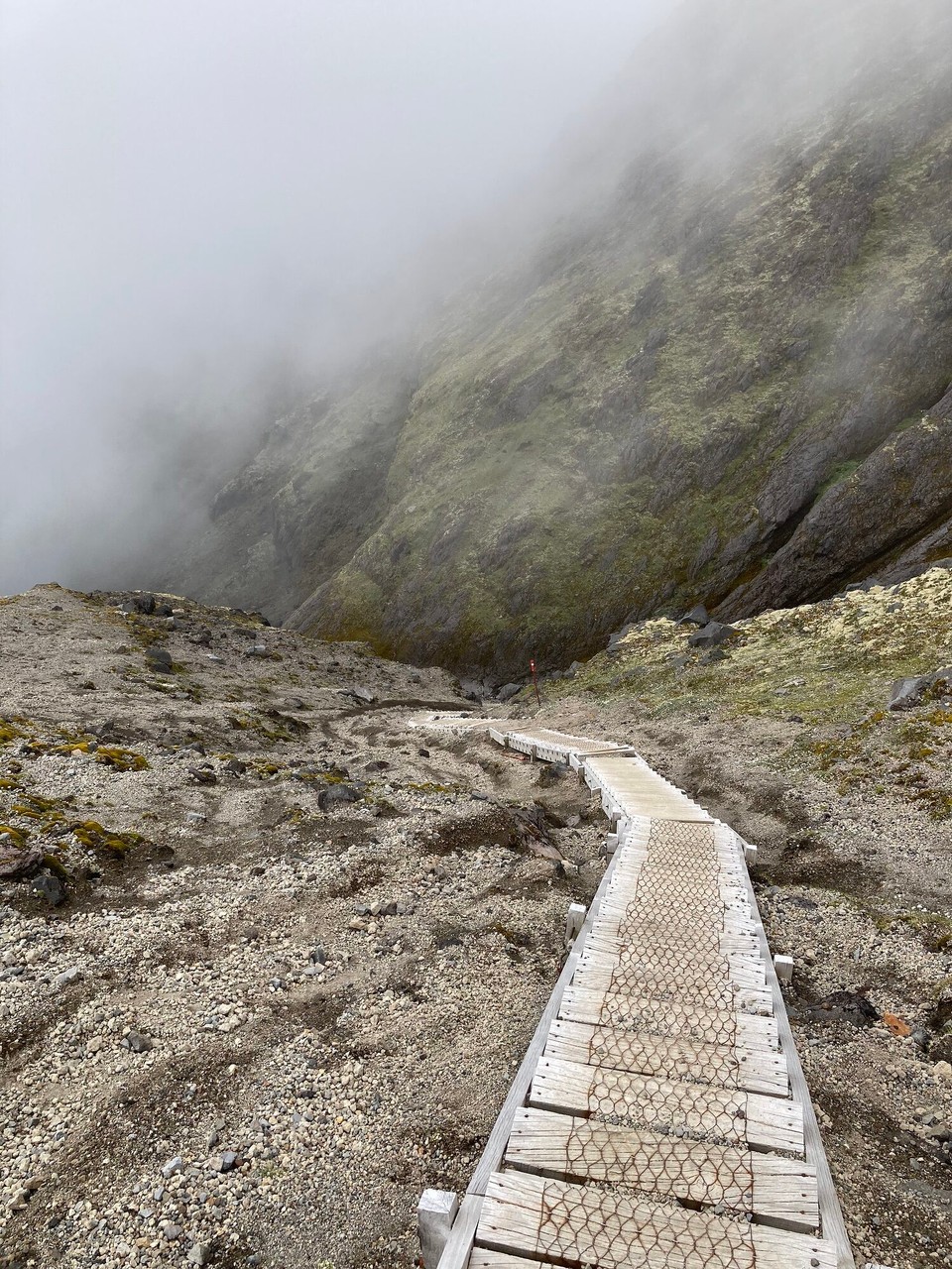 Neuseeland - Egmont National Park - 