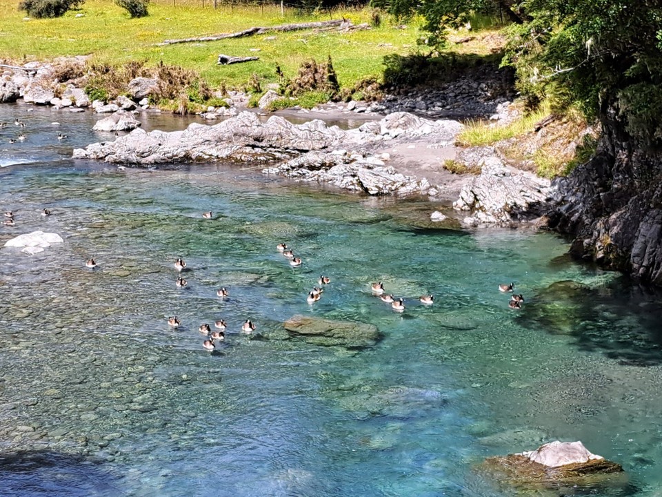 Neuseeland - Hurunui - 