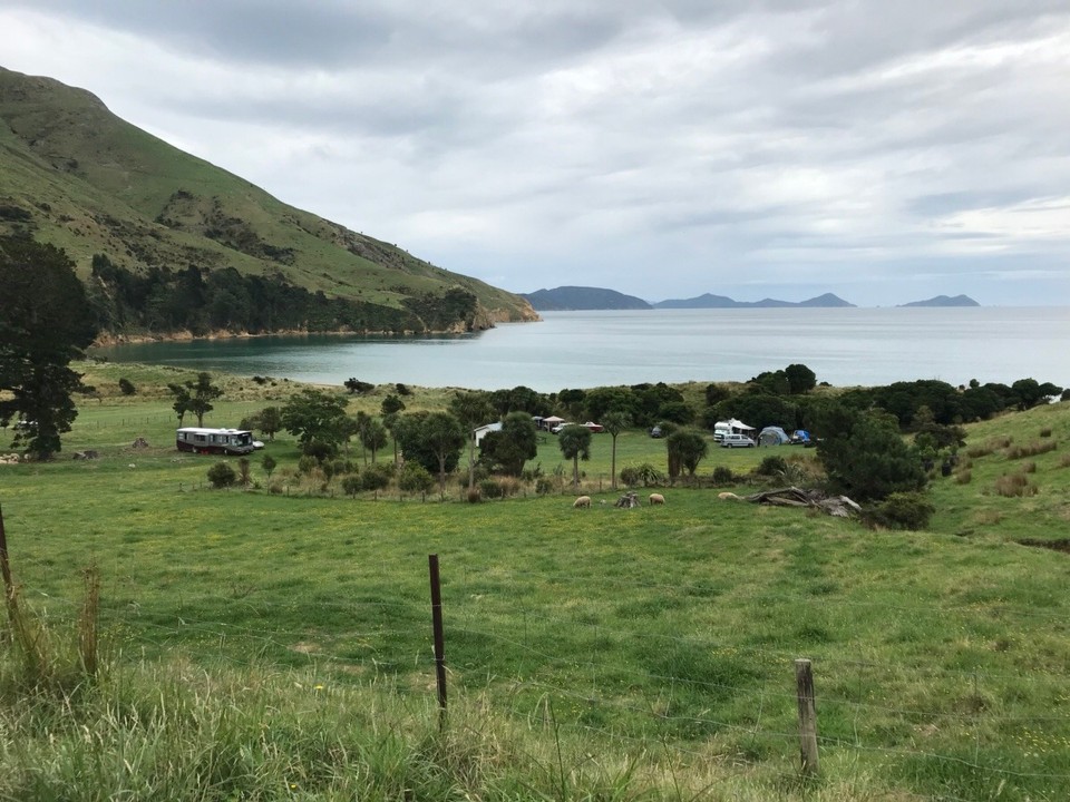 Neuseeland - Titirangi - Unser Campingplatz 
