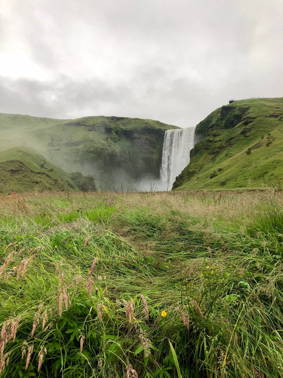 Island - Rangárþing eystra - Wow 🤩 Der Skógafoss! Heute ist der Tag der Wasserfälle an der Südküste. Da habe ich lange drauf gewartet🥰 und mich sehr drauf gefreut. 🤩