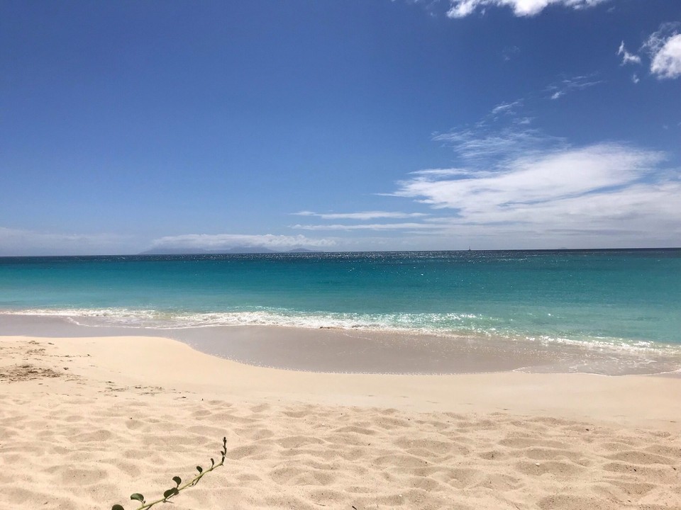 Antigua and Barbuda - Antigua and Barbuda - 