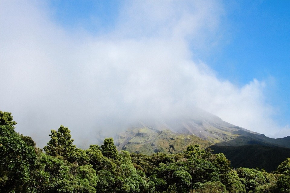 Neuseeland -  - Das einzige was wir von Mount Taranaki zu sehen bekommen...