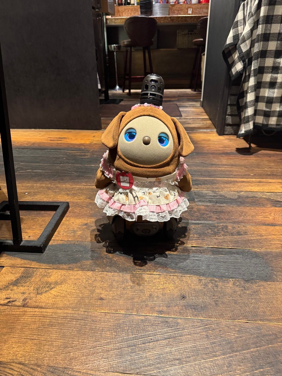 Japan - Chiyoda - Ich heiße Komugi, Blinker, blinker.