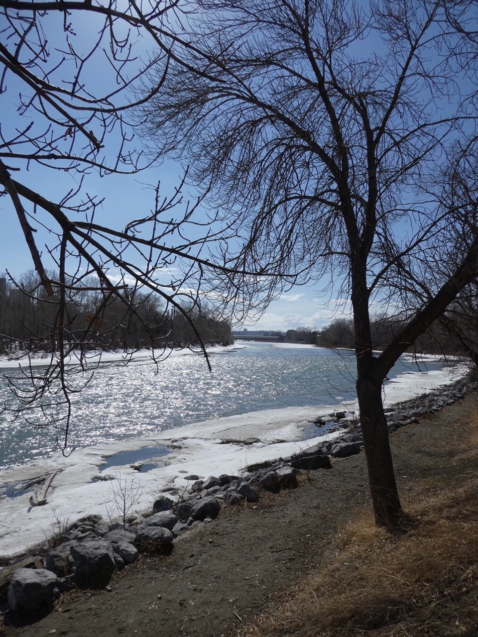 Canada - Calgary - 