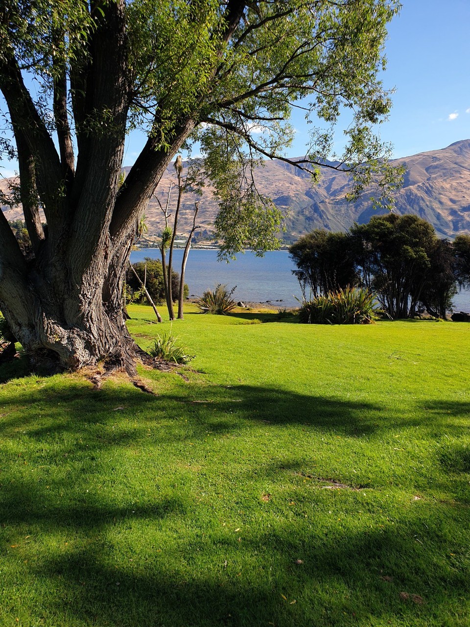 Neuseeland - Wanaka - 