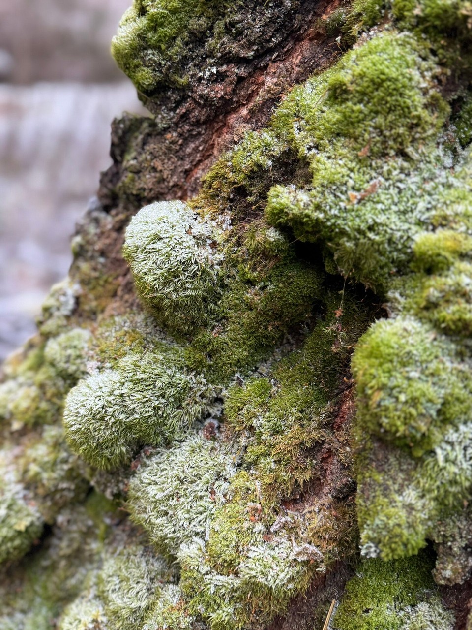 Norwegen - Lillehammer - 