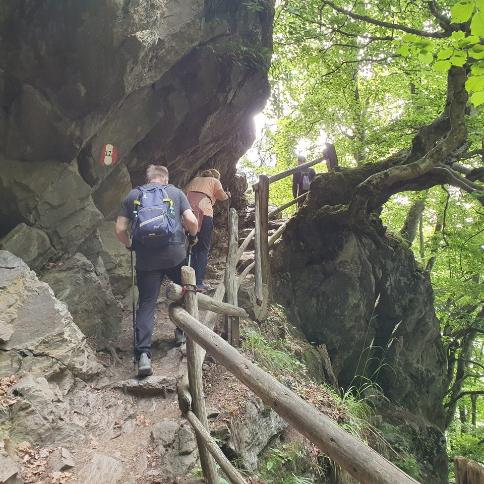 Italien - Meran - Der Weg führt uns zur Mutkopfhütte.