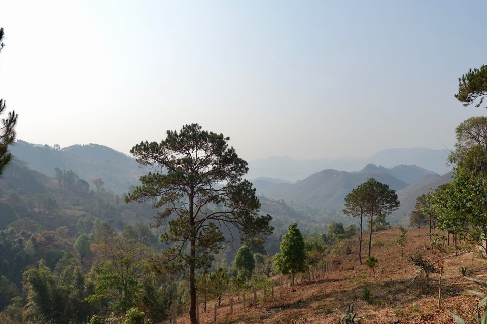 Myanmar (Burma) - Kalaw - 