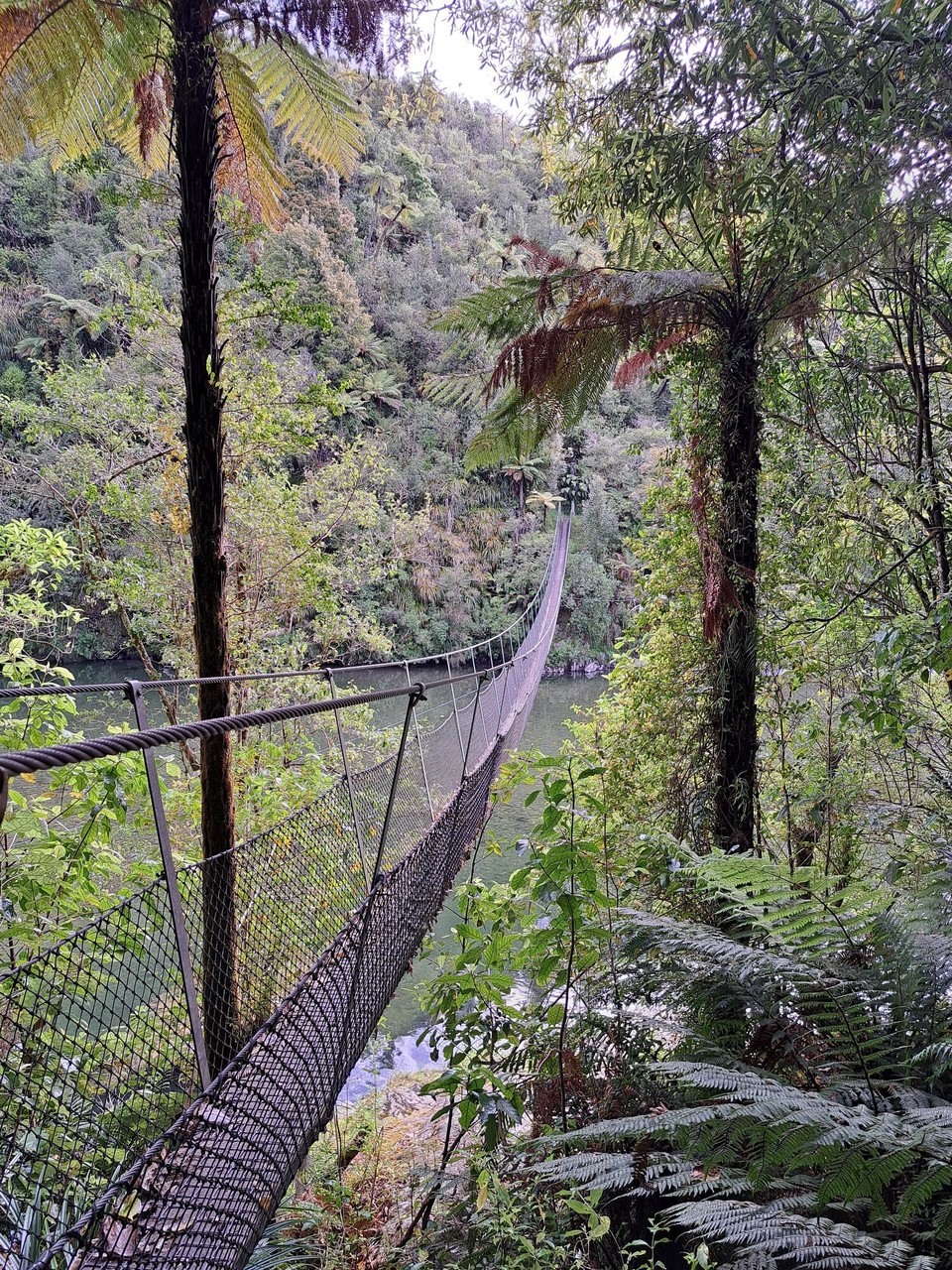 Neuseeland - Parawai Lodge - 