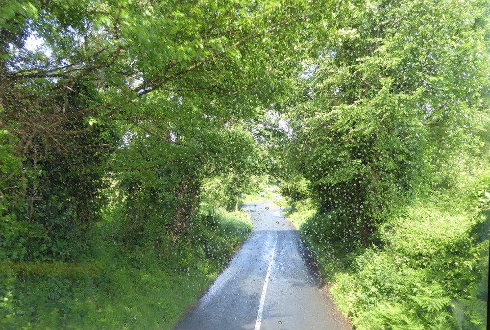 Ireland - Newtownmountkennedy - Dashing through the rain to the bus stop, as we boarded the bus and sat at the front on the top deck, the sun came out again.  We enjoyed a thrilling ride crashing through the overhead branches.