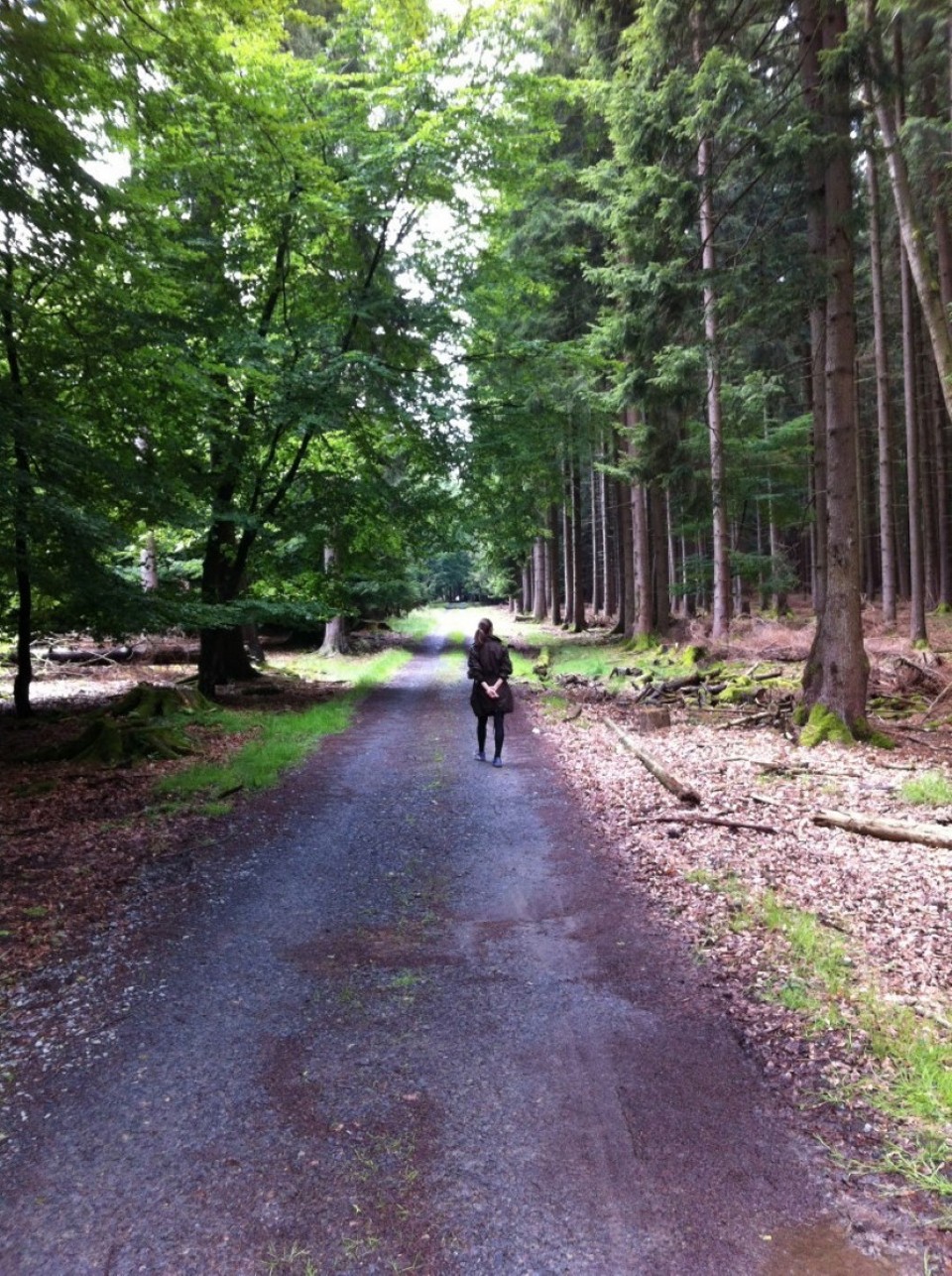 Deutschland - Buchen (Odenwald) - 